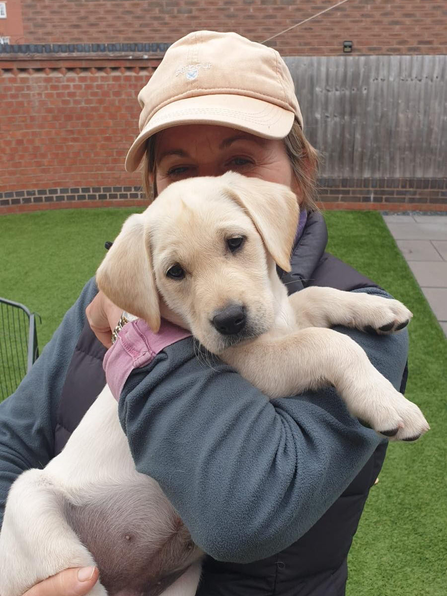 holding-puppy