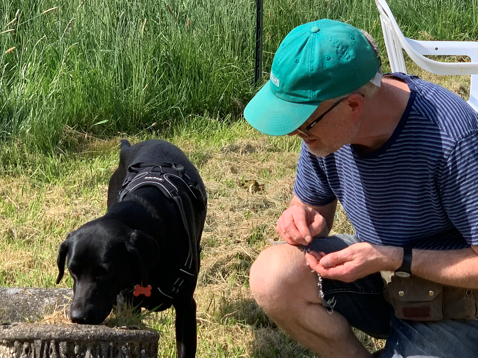 scent-training-engaged-owner