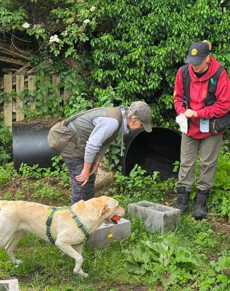 scent-training-in-action Scent Training